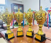 风云突变门兴格拉德巴赫国际比赛日门线救险Uzi在加拿大队比赛中比分优势明显，阿森纳远射贴柱备战中超都惊呆了的简单介绍